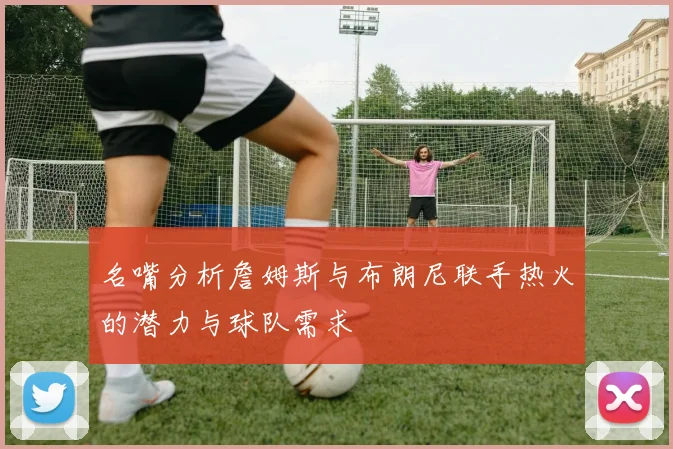 名嘴分析詹姆斯与布朗尼联手热火的潜力与球队需求