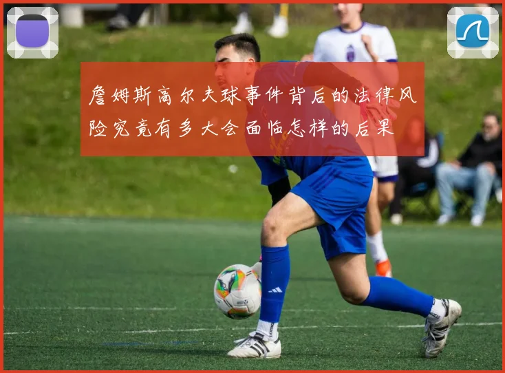 詹姆斯高尔夫球事件背后的法律风险究竟有多大会面临怎样的后果